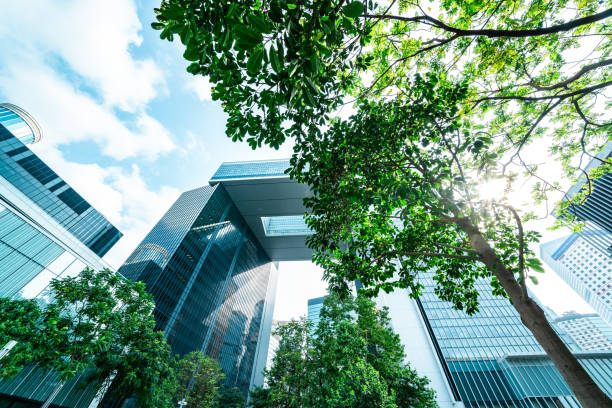 istock Central government complex of Hong Kong 1342315081