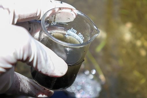 Water samples were collected in industrial canals for inspection