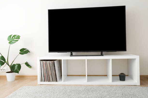istock Cozy home interior with TV and monstera palm 1342315663