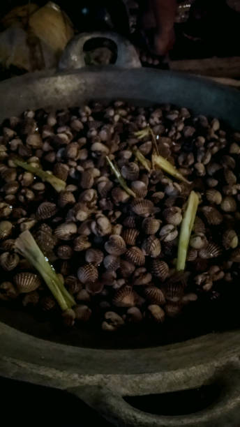 istock boiled scallops with freshly cooked spice mix 1342316250