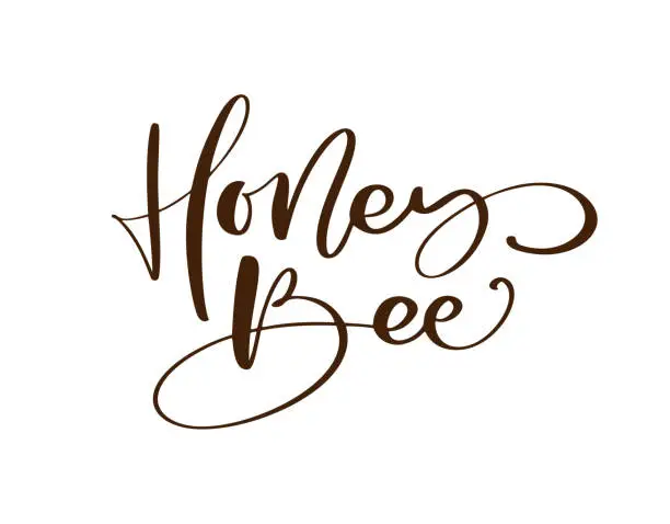 Vector illustration of Honey Bee calligraphy vector lettering text. Bee hand lettering word in orange color isolated on white background. Concept for logo card, typography poster, print
