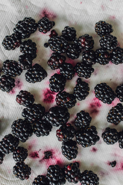 istock blackberries drying on paper towel 1342318813
