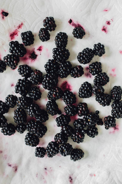 istock blackberries drying on paper towel 1342318816