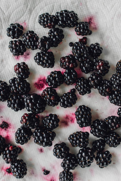 istock blackberries drying on paper towel 1342320761