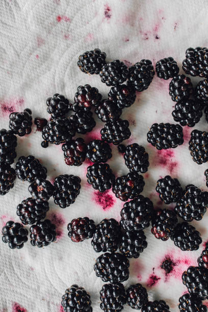 istock blackberries drying on paper towel 1342320824