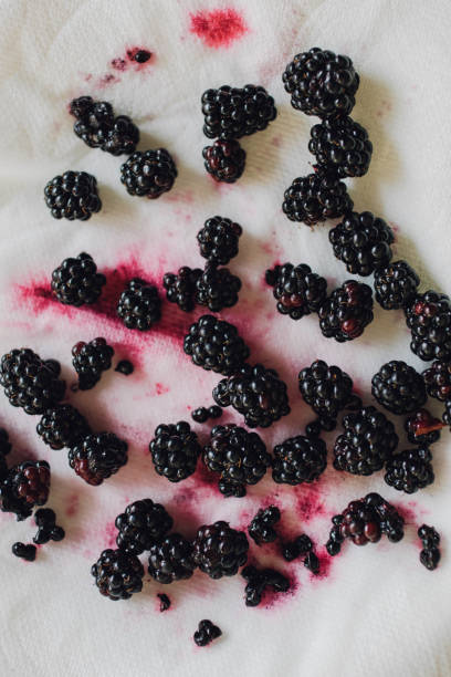blackberries drying on paper towel