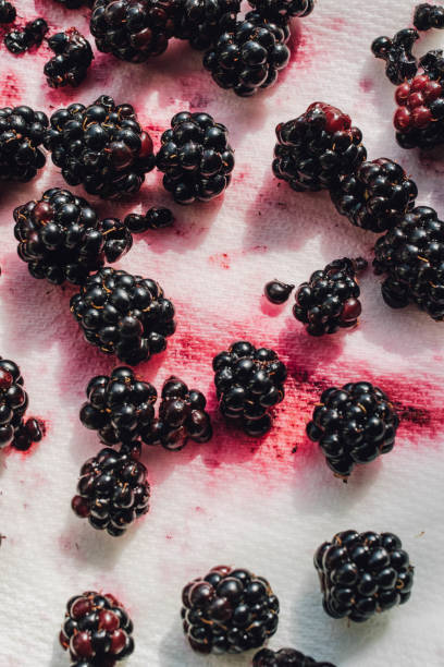 istock blackberries drying on paper towel 1342321044