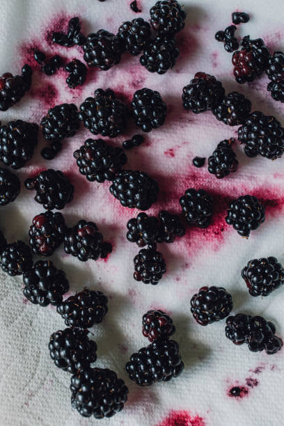 istock blackberries drying on paper towel 1342321046