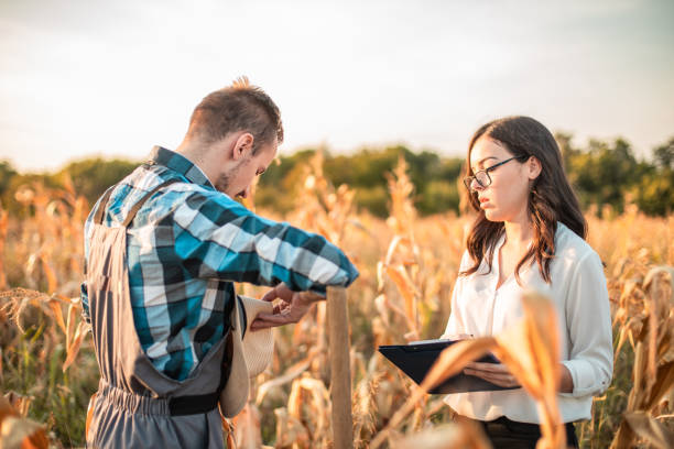 istock Farmer and business woman talking in corn field 1342321092