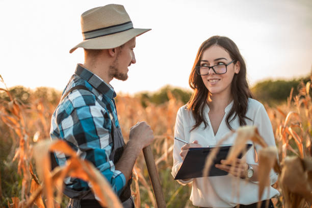 istock Agronomist looking at corn quality with farmer 1342321119