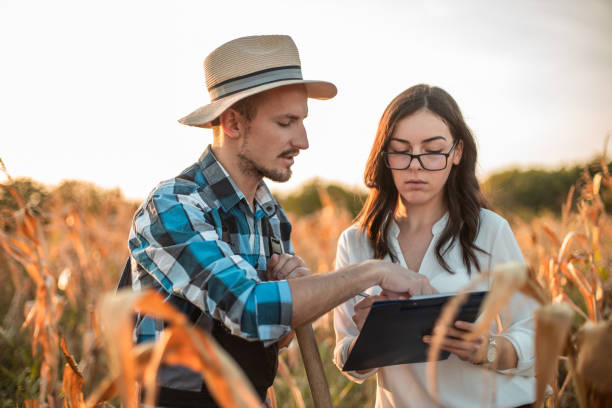 istock Agronomist looking at corn quality with farmer 1342321123