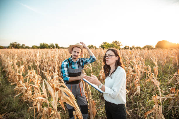 istock Farmer and business woman talking in corn field 1342321175