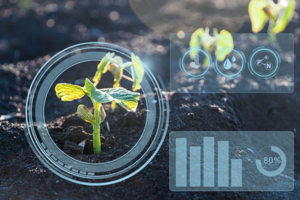 istock Smart farming with IoT, futuristic agriculture concept 1342321240