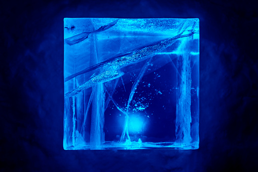Blue illuminated Ice Block