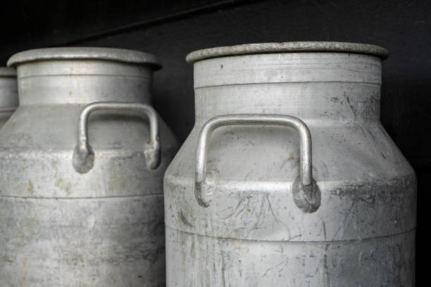 istock Old fashioned milk churns in a shelf 1342323375