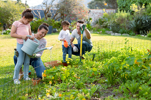 Happy caucasian family gardening and watering plants together. family time, having fun together at home and garden.