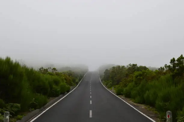 Tar road with fog in front in Madeira Island representing uncertainty in the future