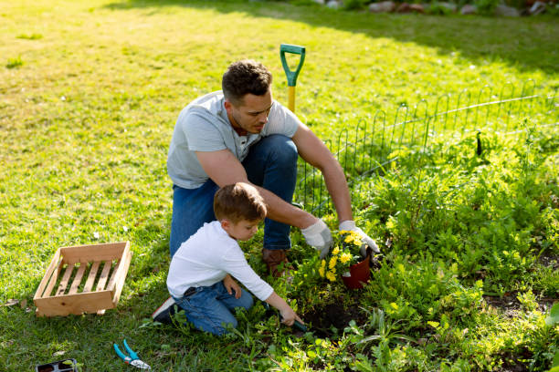 istock Caucasian father and son gardening together 1342330191