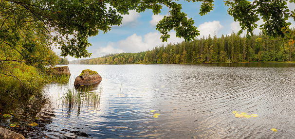 The tranquil, clear waters of Snasavatnet in Steinkjer, Norway, mirror the dense forest on its shores, capturing a serene summer day with warm sunlight