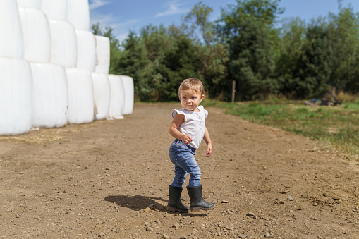 An adorable 18 month old toddler walks down a dirt road lined with stacks of hay bales wrapped in white plastic while helping her parents on the family farm. It is a sunny, warm day and the child is wearing blue jeans and rubber boots. She is walking while looking back over her shoulder. Farming, family and lifestyle concepts.