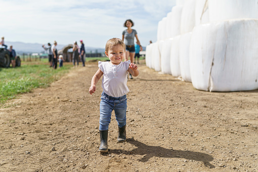 An adorable one year old toddler walks down a dirt path lined with stacks of hay bales wrapped in white plastic while helping her parents on the family farm. The mother is walking behind the curious and happy child. Workers are in the background.