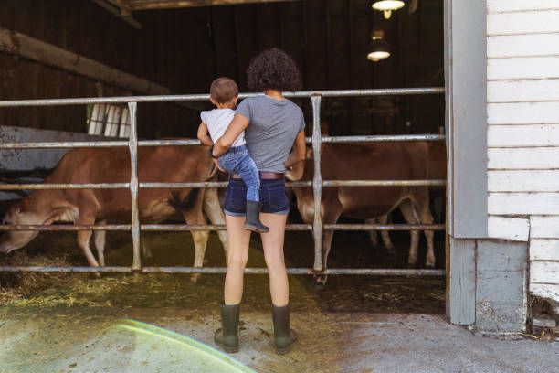 istock The next generation of dairy farmers 1342333183