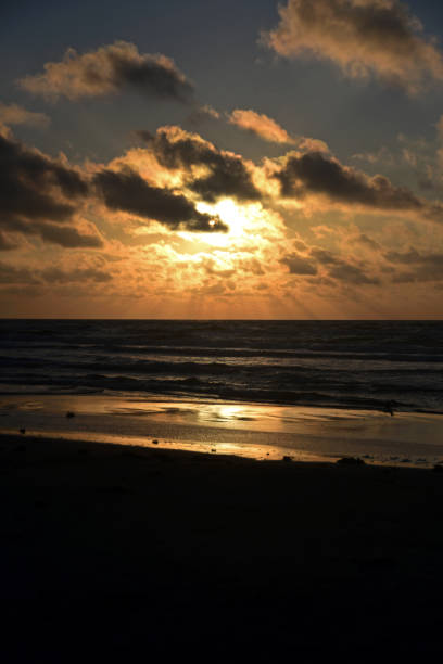 istock Padre Island Sunrise 1342351018