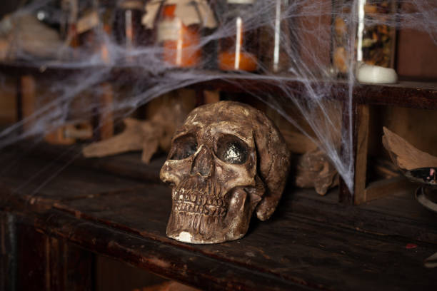 istock Halloween background Shelves with alchemy tools Skull spiderweb bottle with poison candles 1342351111