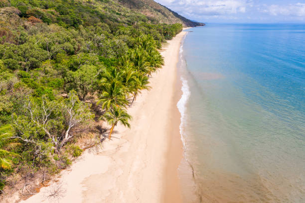 istock Ellis Beach - Far North Queensland Australia 1342351874