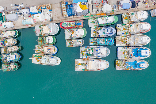 aerial view of fishing boats in the harbor