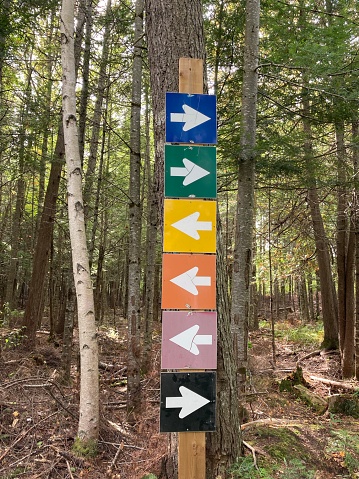 Colourful hiking trail markers in New Brunswick woodland.