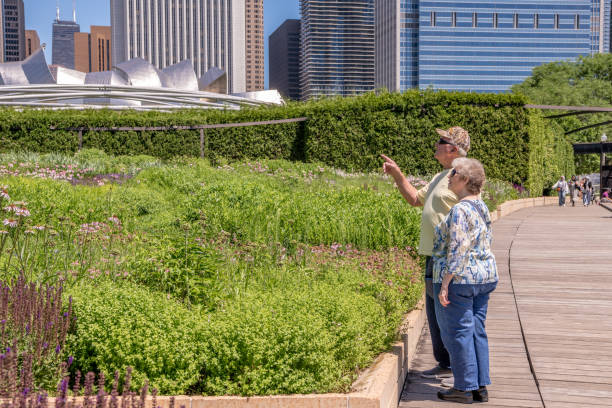 Senior couple enjoys visiting the Lurie Gardens at Millennium Park Chicago Chicago, IL - June 15, 2021: A beautiful senior couple enjoys visiting the Lurie Gardens at Millennium Park, downtown in the Loop. Landmark Pritzker Pavilion in the background. Illustrative Editorial. lurie stock pictures, royalty-free photos & images