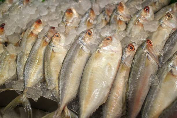 istock Fresh fish sold in traditional markets 1342364829