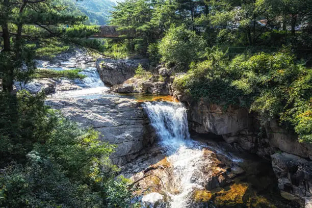 Mureung valley creek water in Donghae, South Korea.