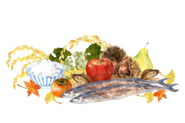 秋の味覚 イラスト素材 | 秋 食べ物, 栗, さんま - iStock