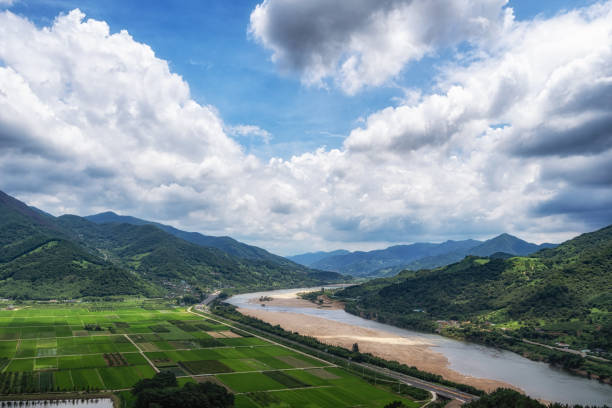 istock Seomjingang and Hadong Rice paddies 1342367818