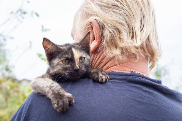 istock A small black kitten on a man's shoulder. Favorite pets 1342374954
