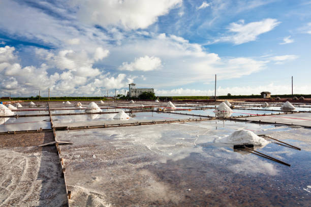 istock the Jingzaijiao Tile- Paved Salt Fields in Tainan, Taiwan. 1342386768
