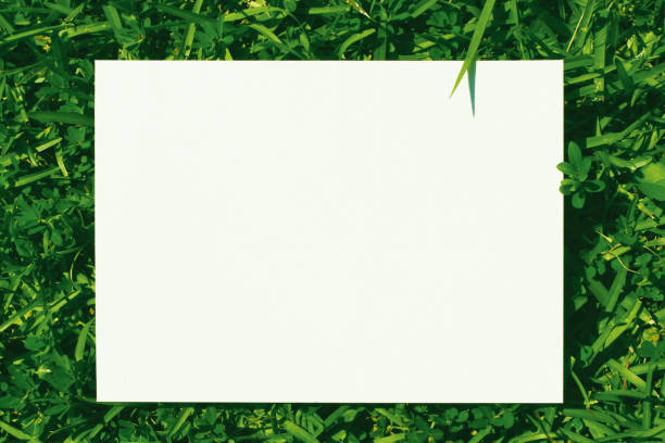 istock Beautiful grass and white paper 1342389808