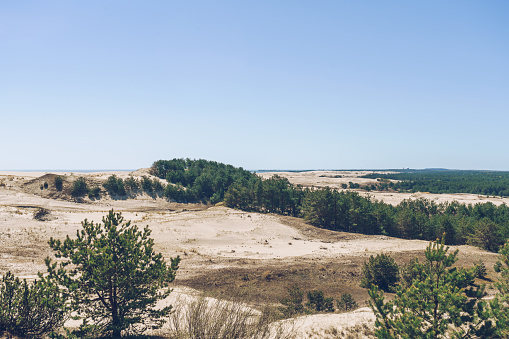 sand dunes of curonian spit at Vysota Efa on sunny spring day