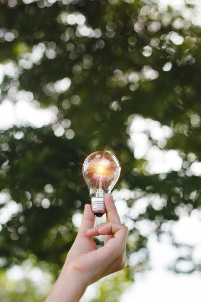 istock Hand holding Light bulb with light flare green nature background. eco innovation environmental and creative concepts. 1342391600