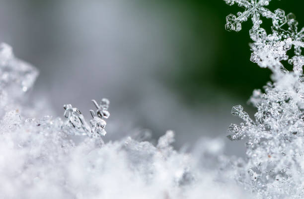 istock Snowflake on snow. Winter holidays and Christmas background 1342402904