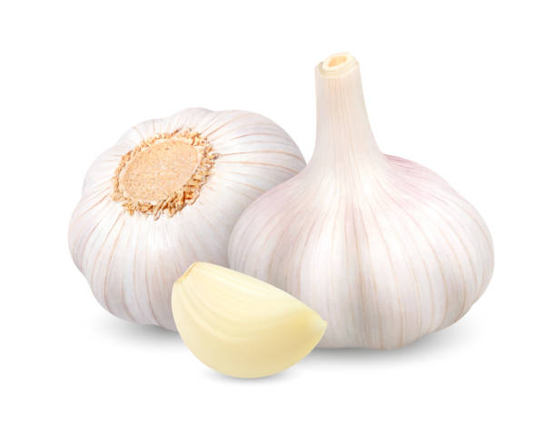 istock Garlic heads with clove. 3d Vector illustration isolated on white background 1342404170
