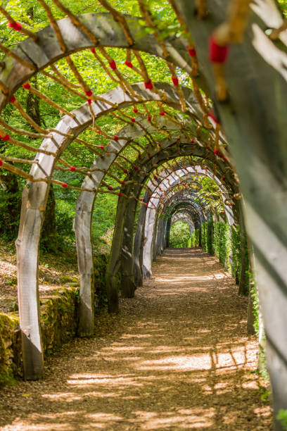 istock Gardens of Marqueyssac 1342405621