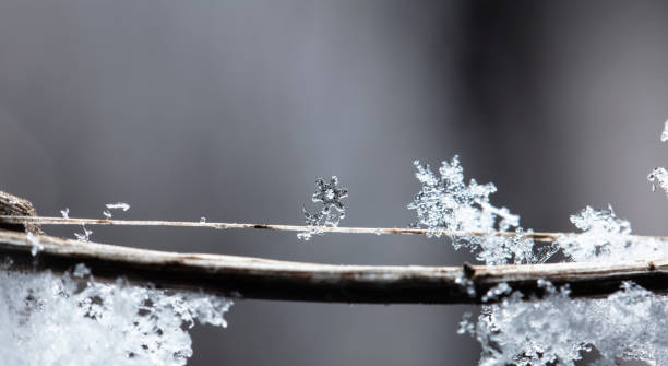 istock Snowflake on snow. Winter holidays and Christmas background 1342405644