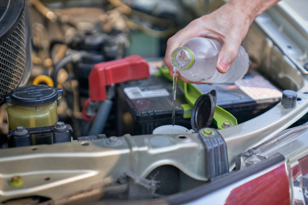 istock Man filling the water into radiator for checking car before driv 1342406604