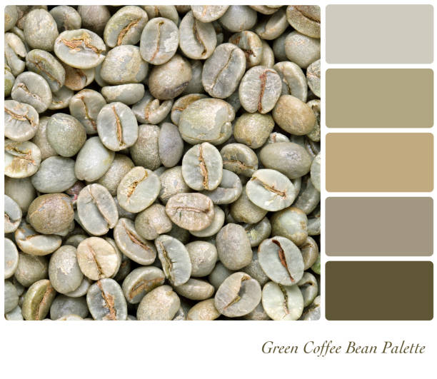 istock Green Coffee bean palette 1342408464