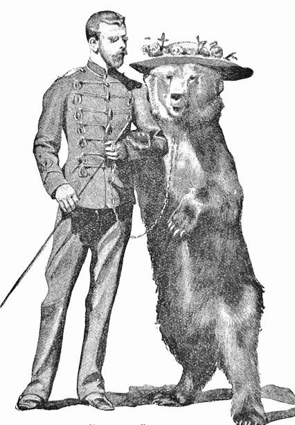 illustrazioni stock, clip art, cartoni animati e icone di tendenza di animali nel circo: lady bear - animal act