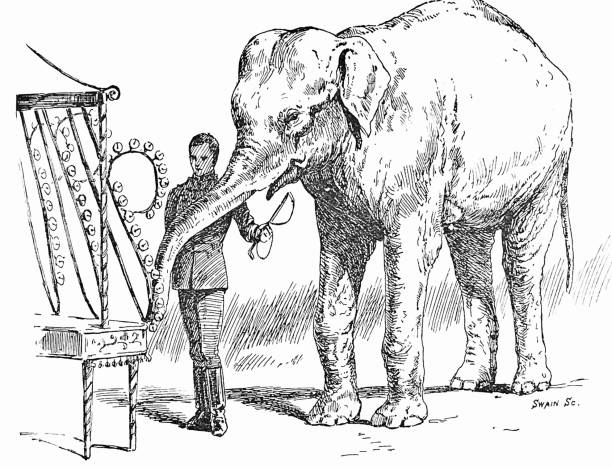 istock Animals in the circus: elephant playing the bells 1342410573