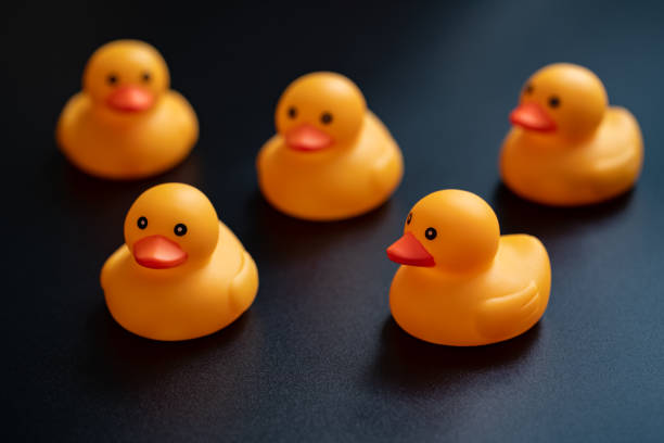 istock Yellow toy duck on black background 1342410760